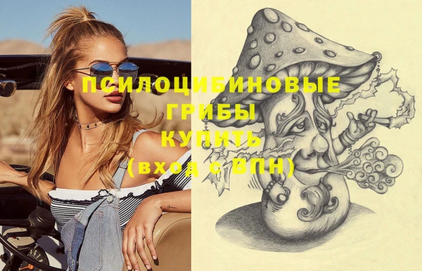 скорость Липки